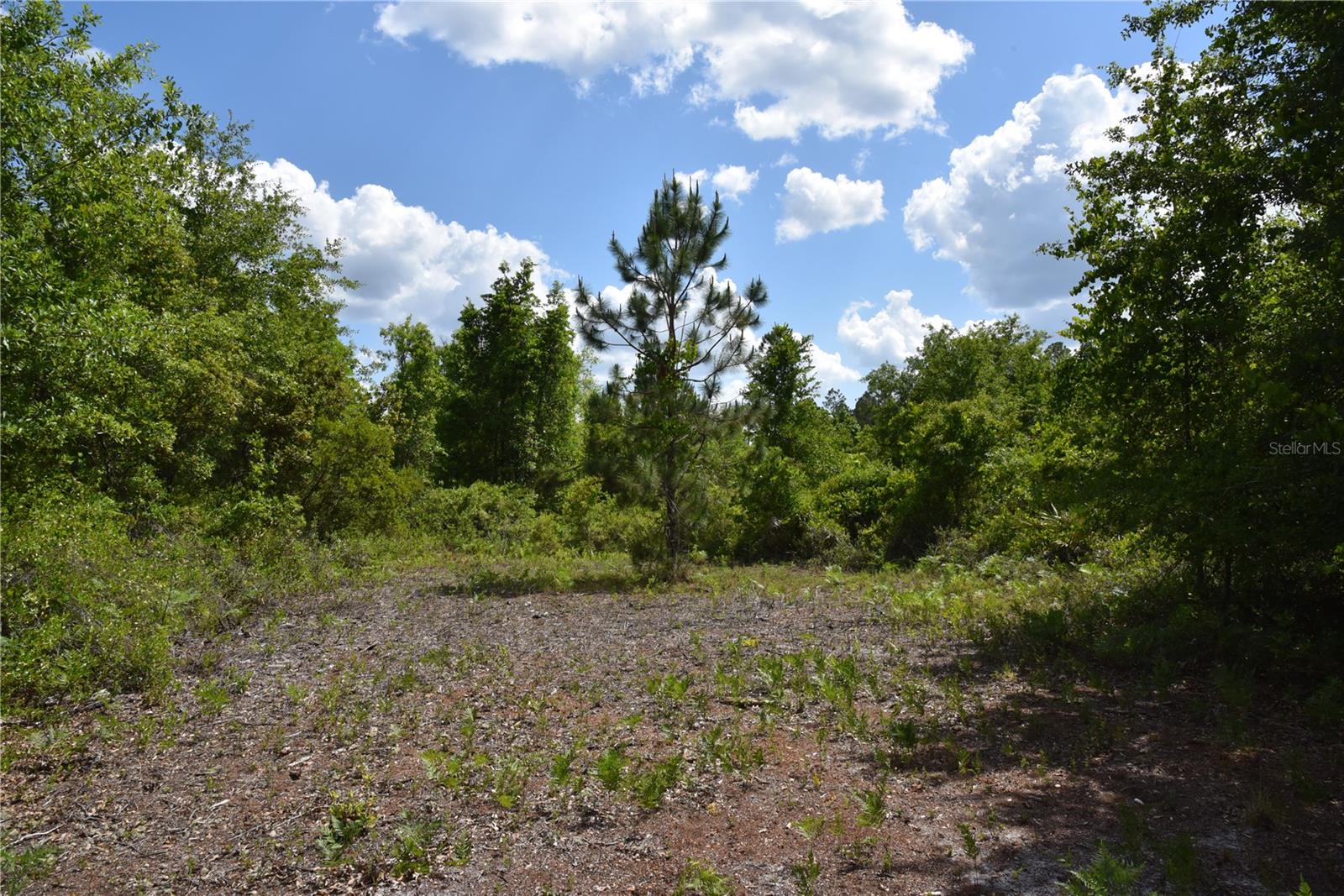 OFF HWY 225, GAINESVILLE, FL, 32609