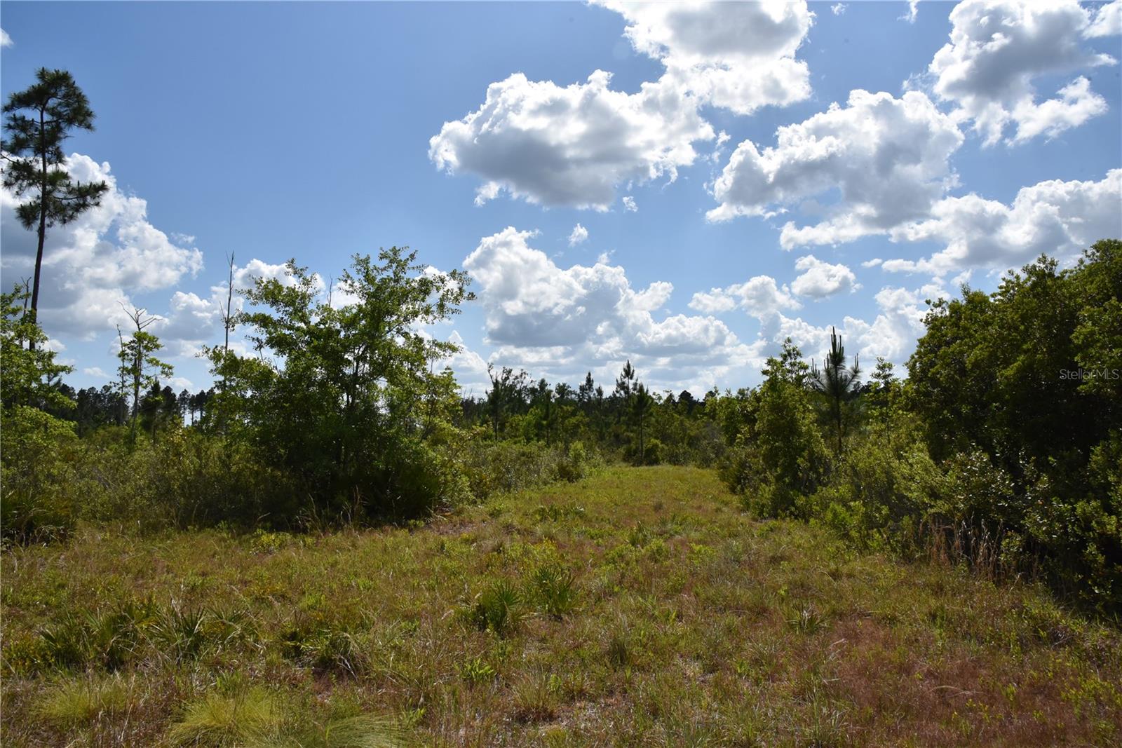 OFF HWY 225, GAINESVILLE, FL, 32609