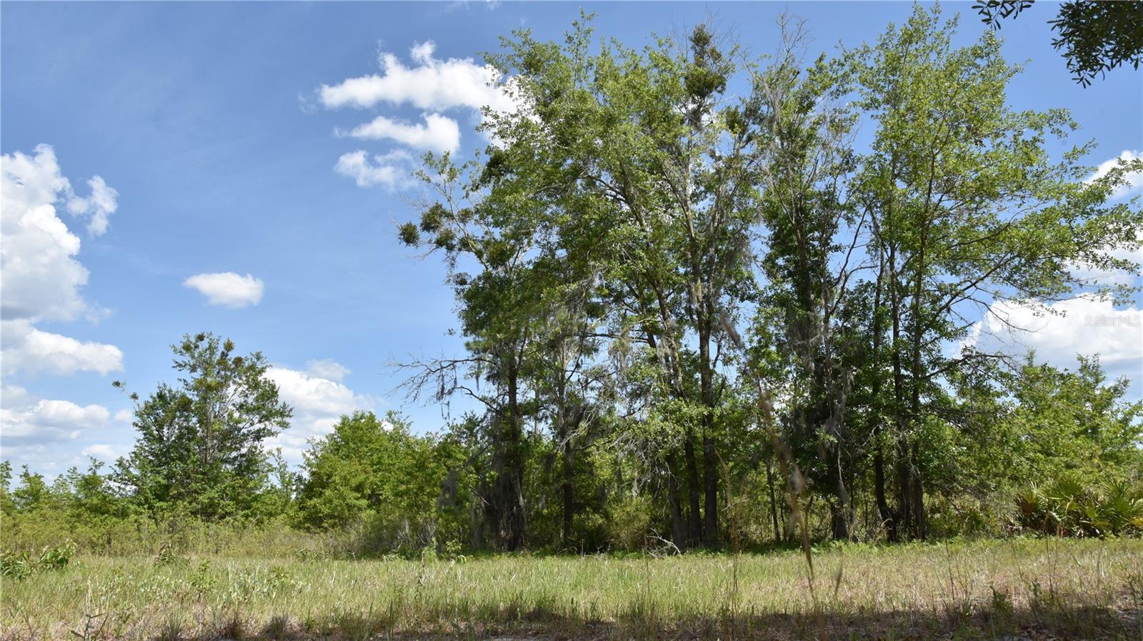 OFF HWY 225, GAINESVILLE, FL, 32609