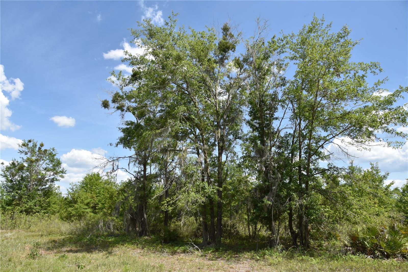 OFF HWY 225, GAINESVILLE, FL, 32609