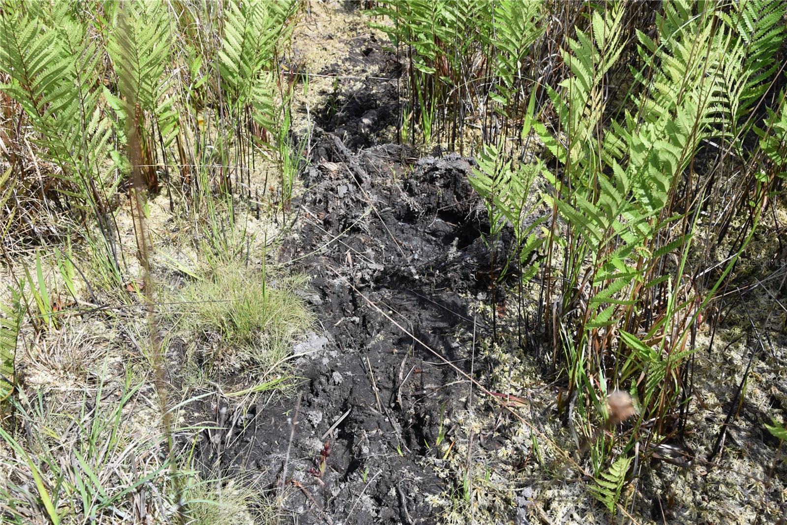 OFF HWY 225, GAINESVILLE, FL, 32609