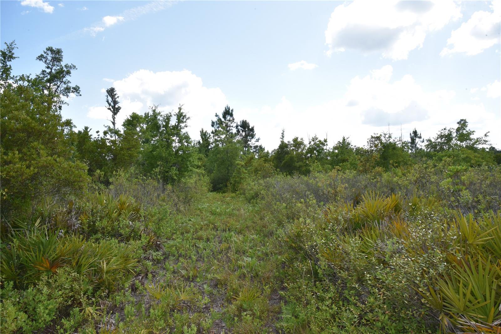 OFF HWY 225, GAINESVILLE, FL, 32609