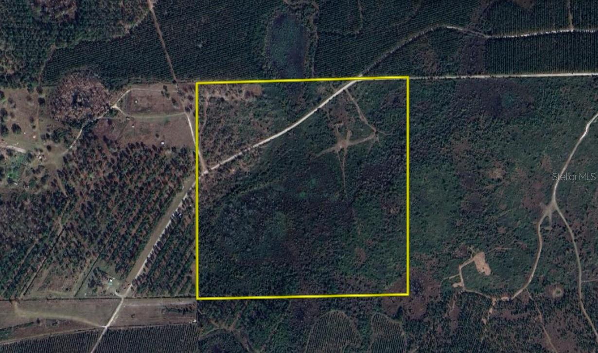 OFF HWY 225, GAINESVILLE, FL, 32609