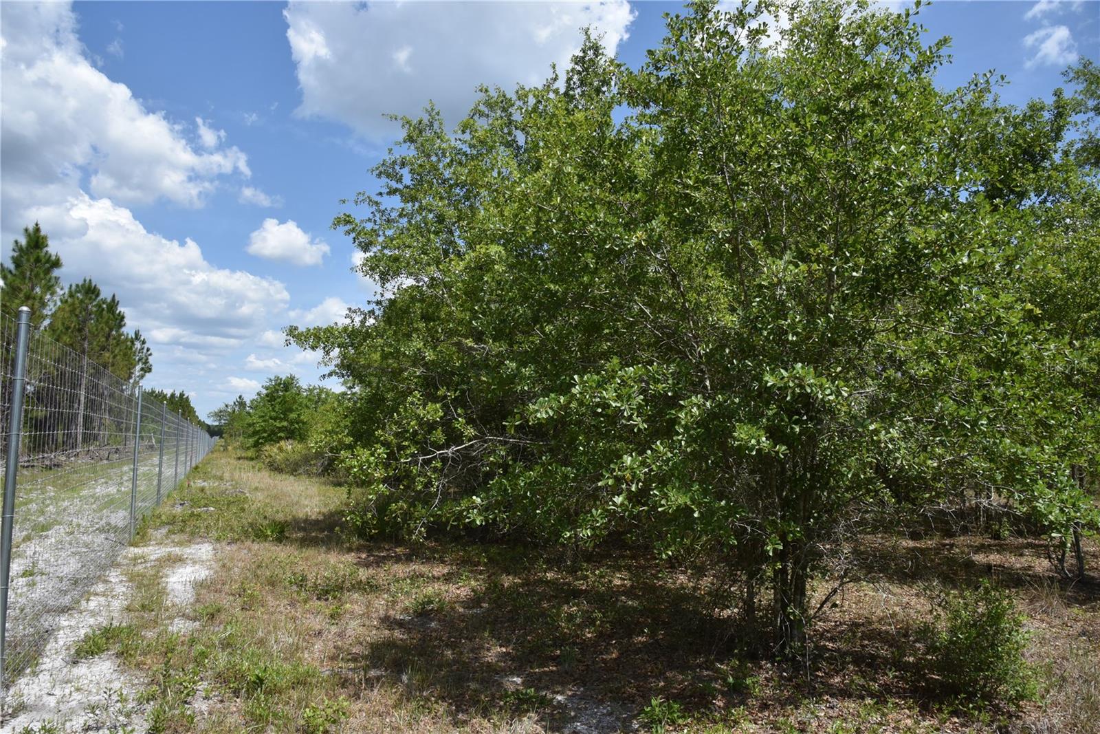 OFF HWY 225, GAINESVILLE, FL, 32609