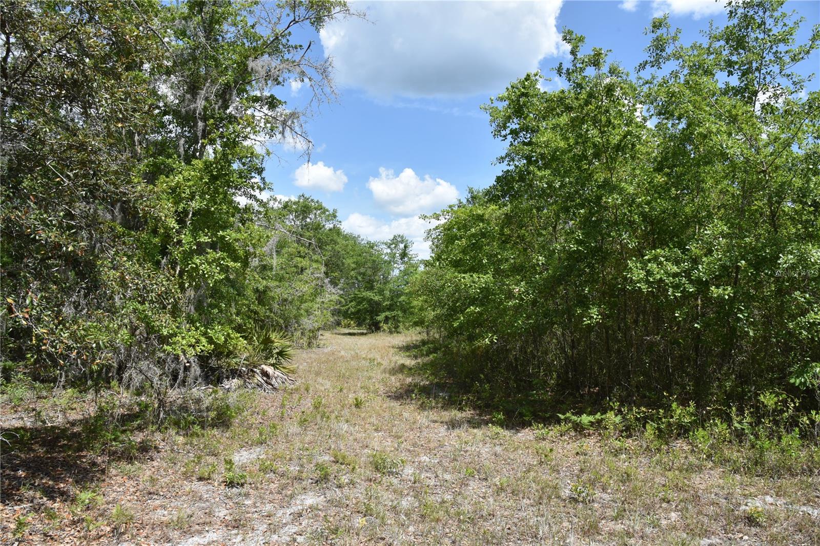 OFF HWY 225, GAINESVILLE, FL, 32609