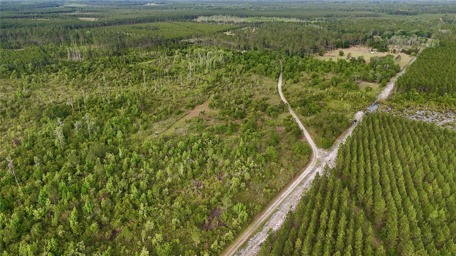 OFF HWY 225, GAINESVILLE, FL, 32609