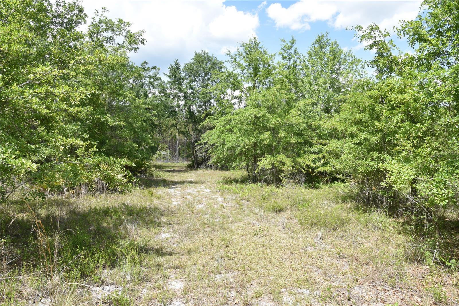 OFF HWY 225, GAINESVILLE, FL, 32609