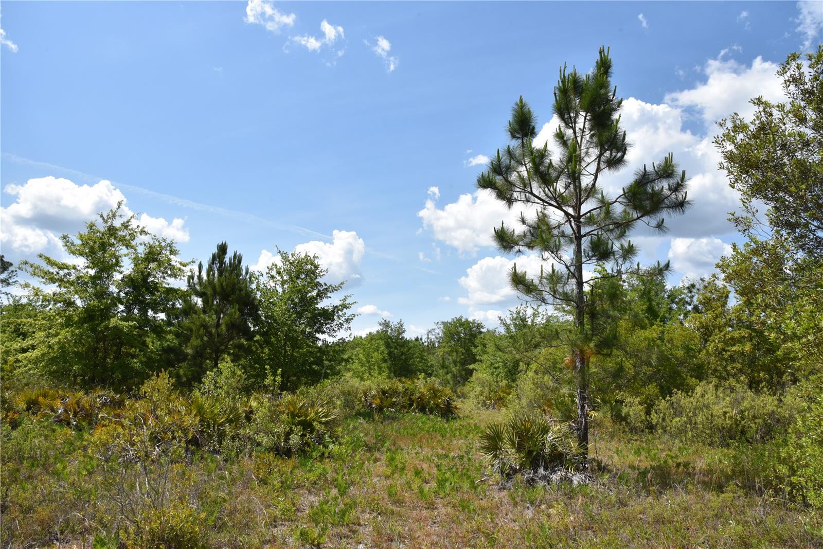 OFF HWY 225, GAINESVILLE, FL, 32609