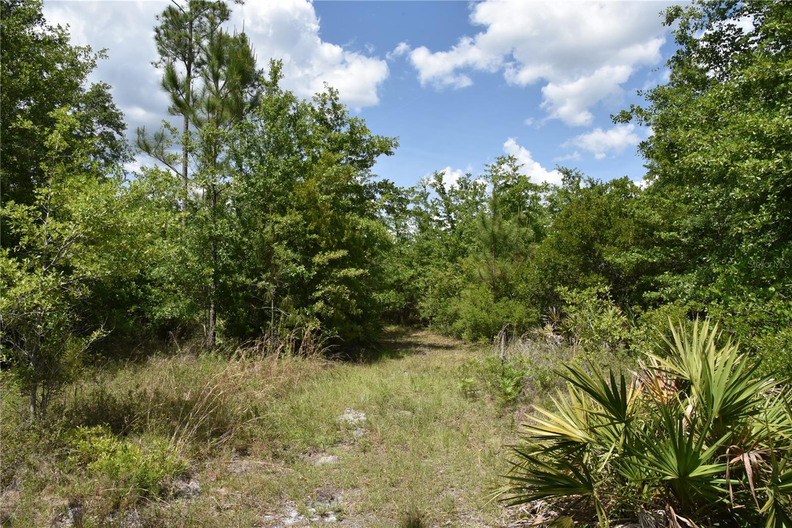 OFF HWY 225, GAINESVILLE, FL, 32609