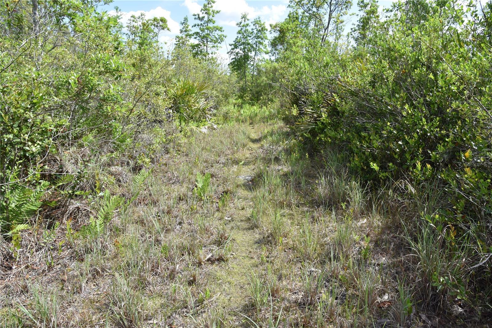 OFF HWY 225, GAINESVILLE, FL, 32609