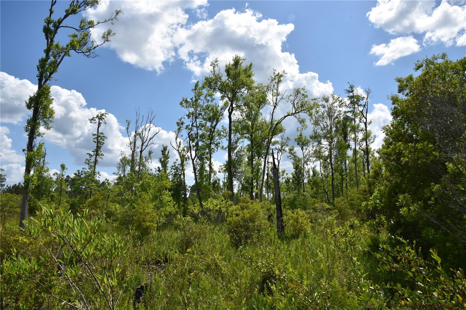 OFF HWY 225, GAINESVILLE, FL, 32609