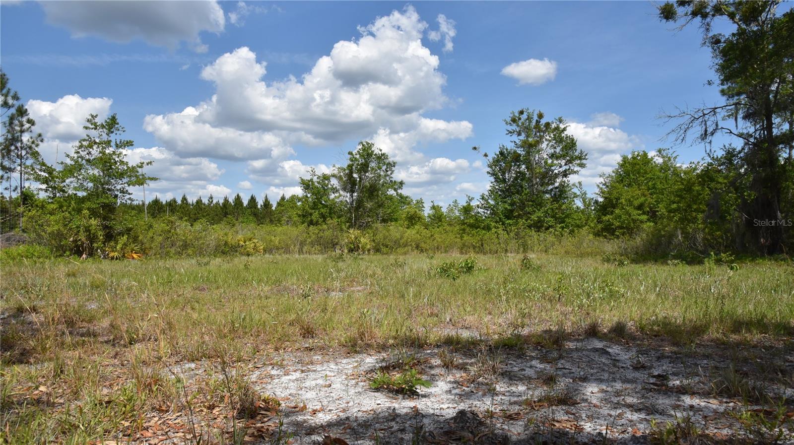 OFF HWY 225, GAINESVILLE, FL, 32609