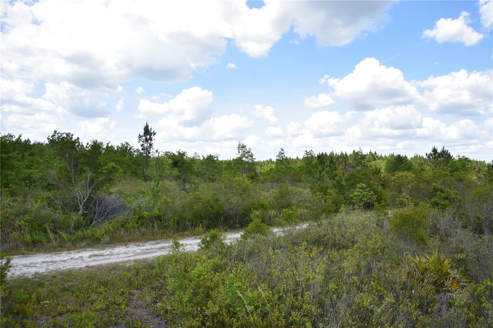 OFF HWY 225, GAINESVILLE, FL, 32609