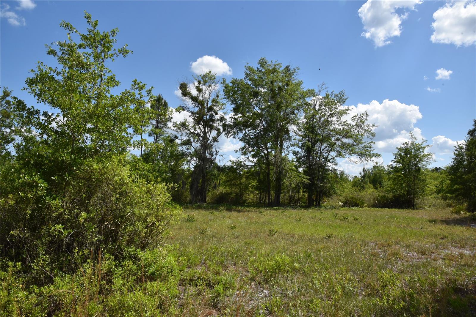 OFF HWY 225, GAINESVILLE, FL, 32609