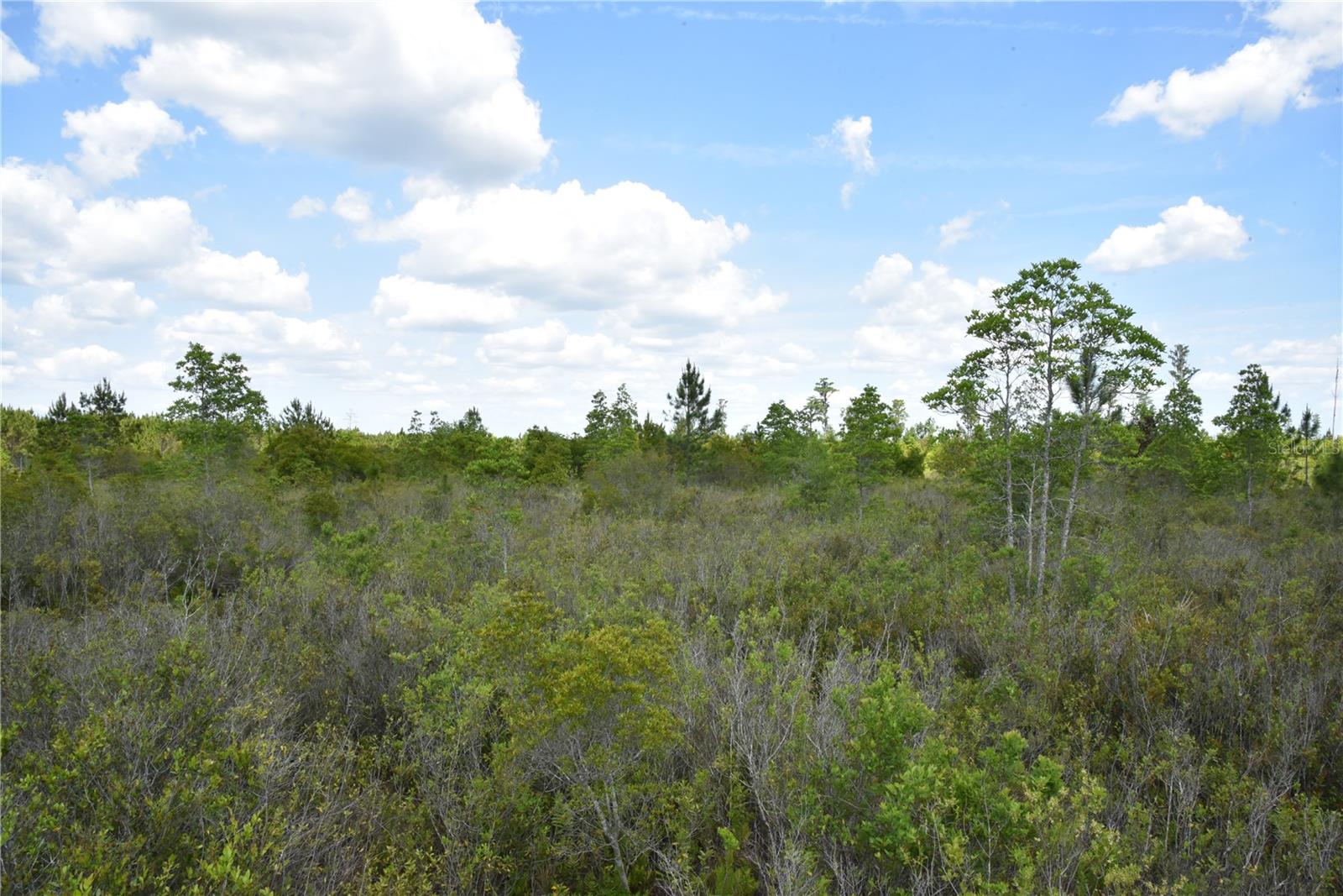 OFF HWY 225, GAINESVILLE, FL, 32609