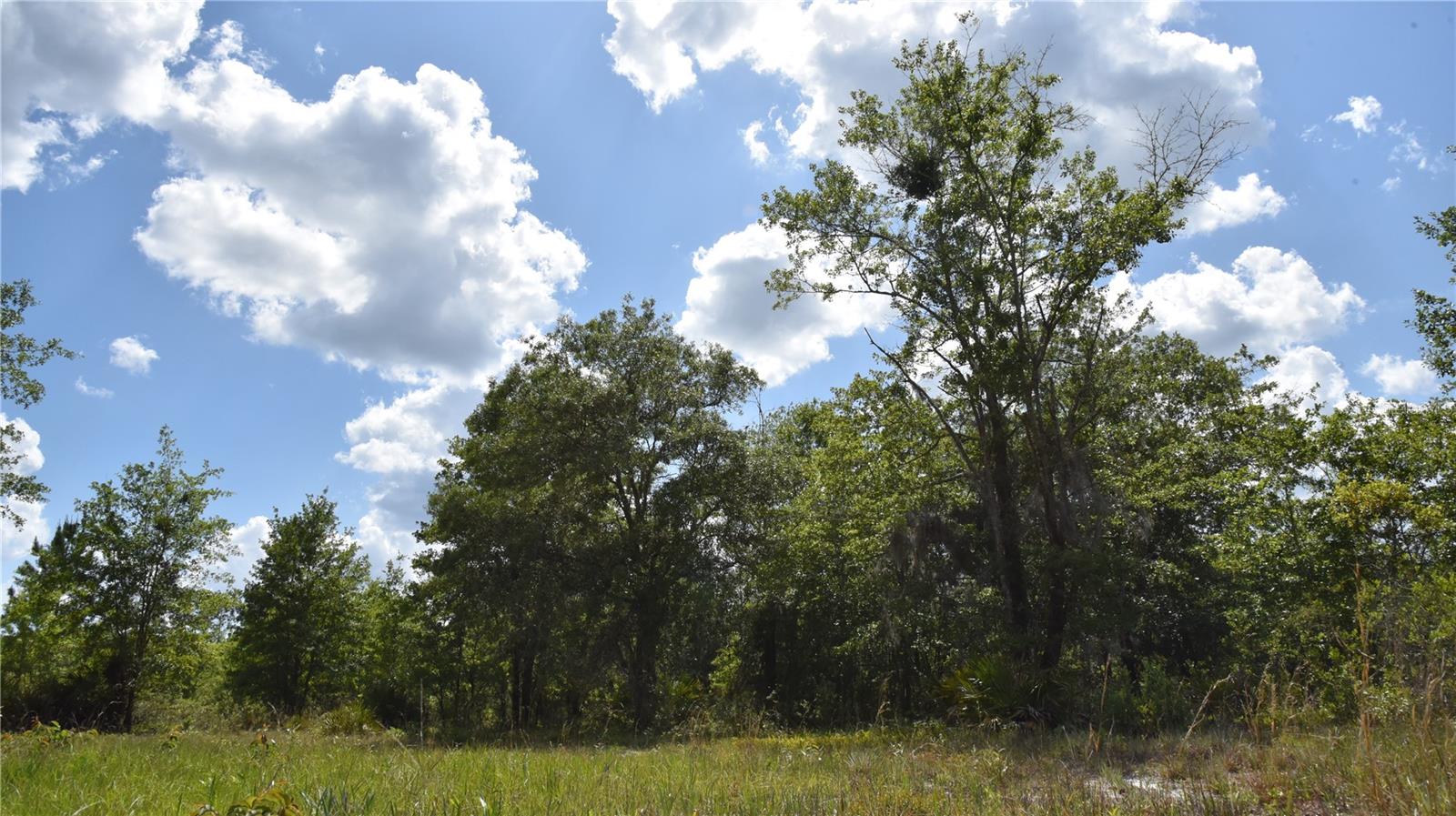 OFF HWY 225, GAINESVILLE, FL, 32609