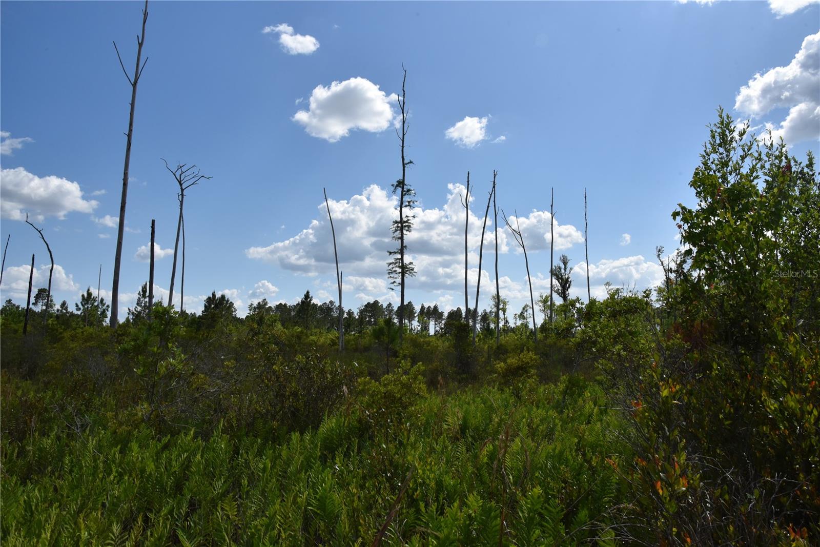 OFF HWY 225, GAINESVILLE, FL, 32609