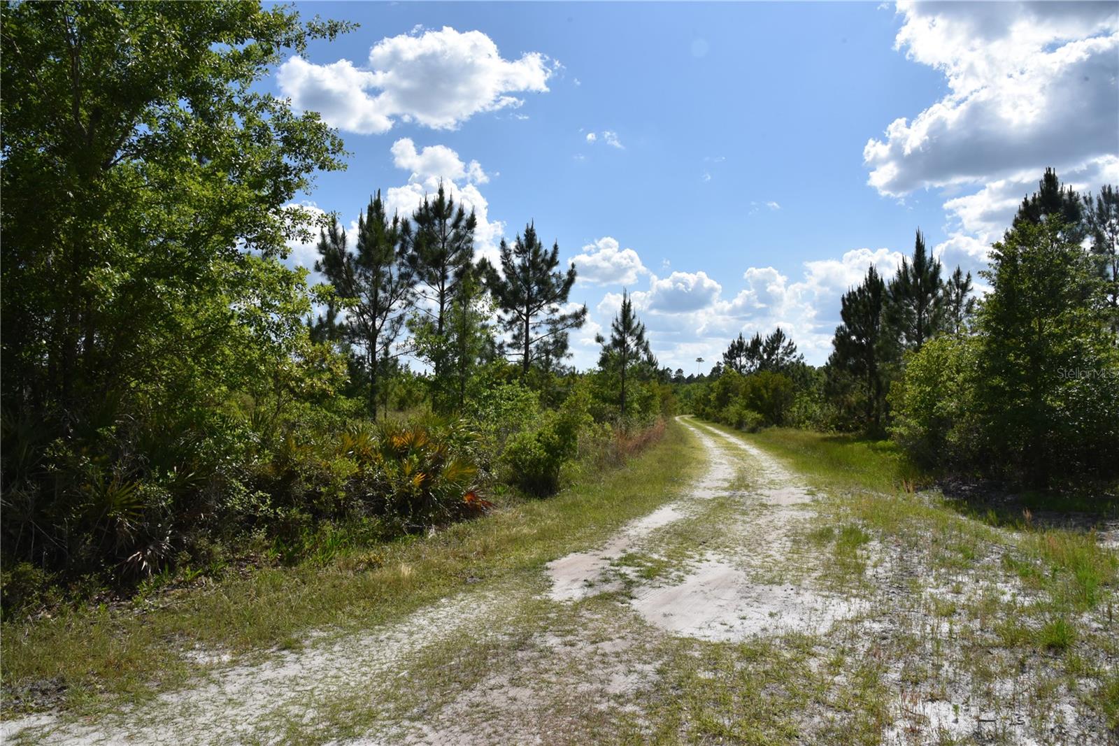 OFF HWY 225, GAINESVILLE, FL, 32609