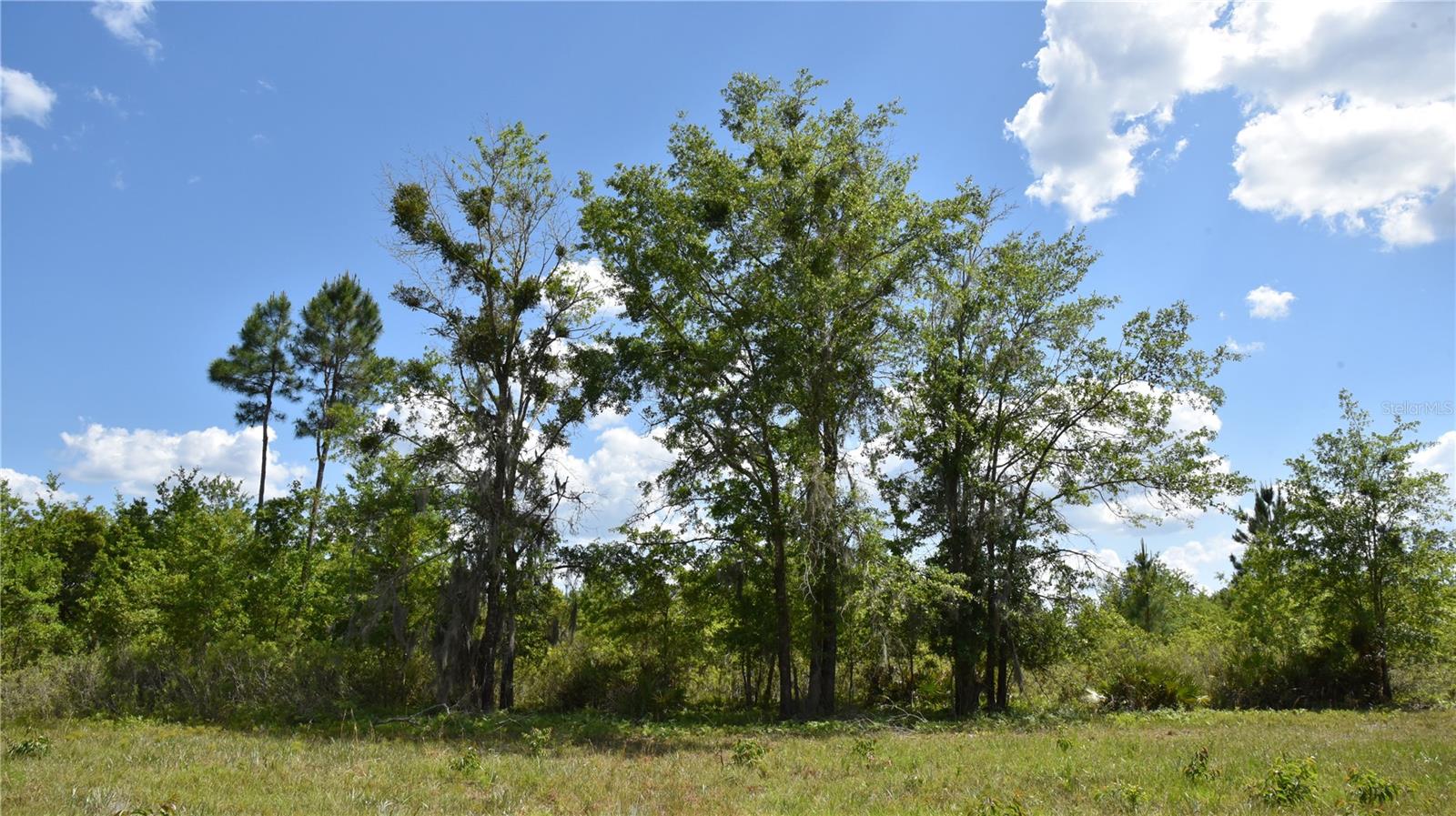 OFF HWY 225, GAINESVILLE, FL, 32609