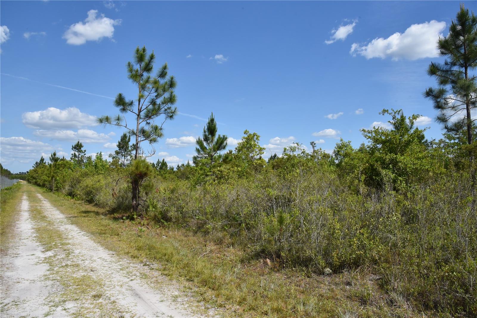 OFF HWY 225, GAINESVILLE, FL, 32609