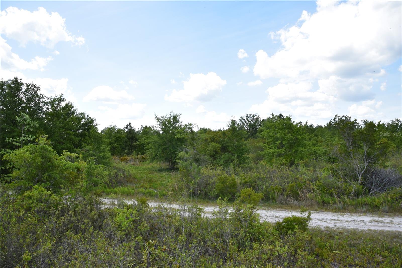 OFF HWY 225, GAINESVILLE, FL, 32609