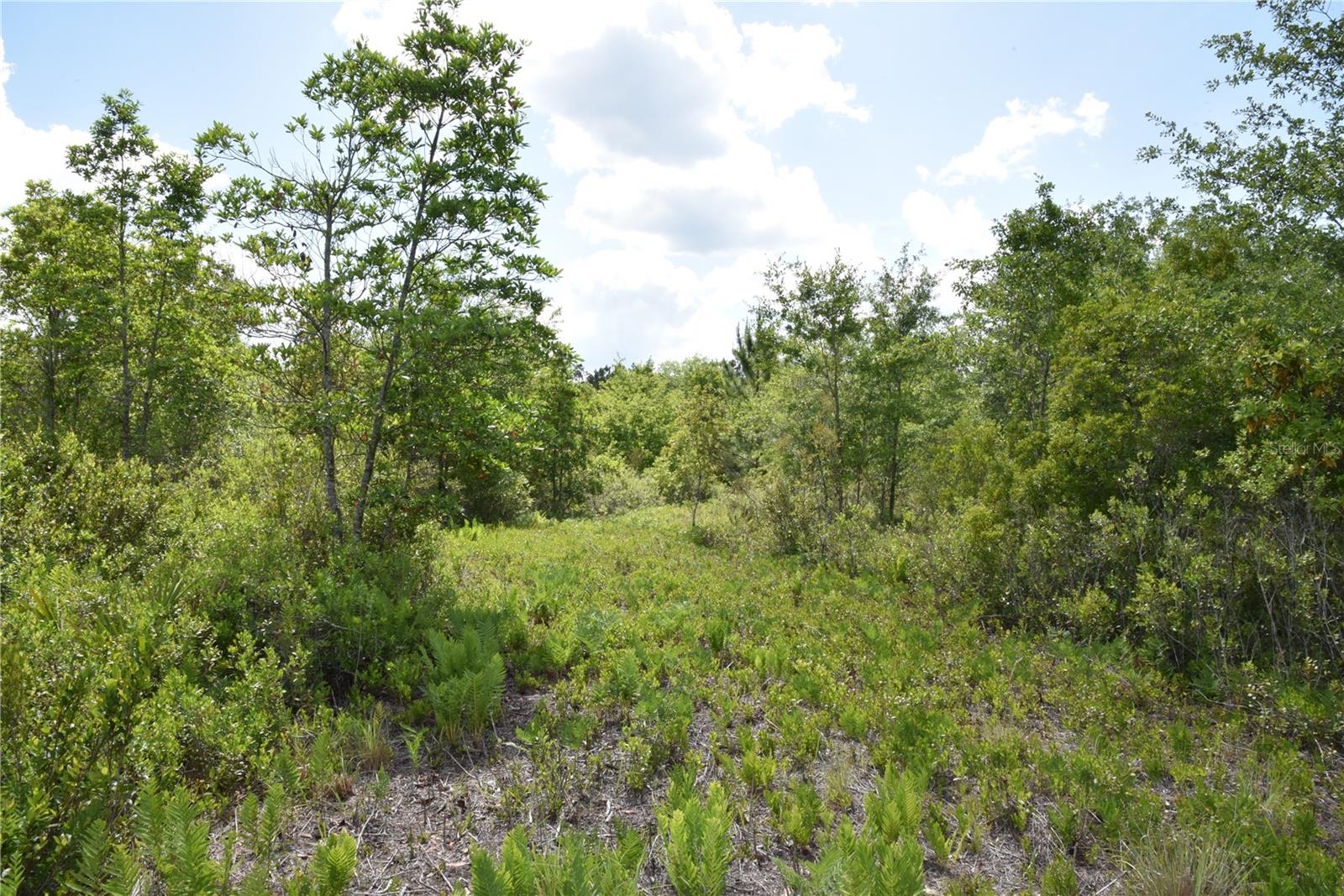 OFF HWY 225, GAINESVILLE, FL, 32609