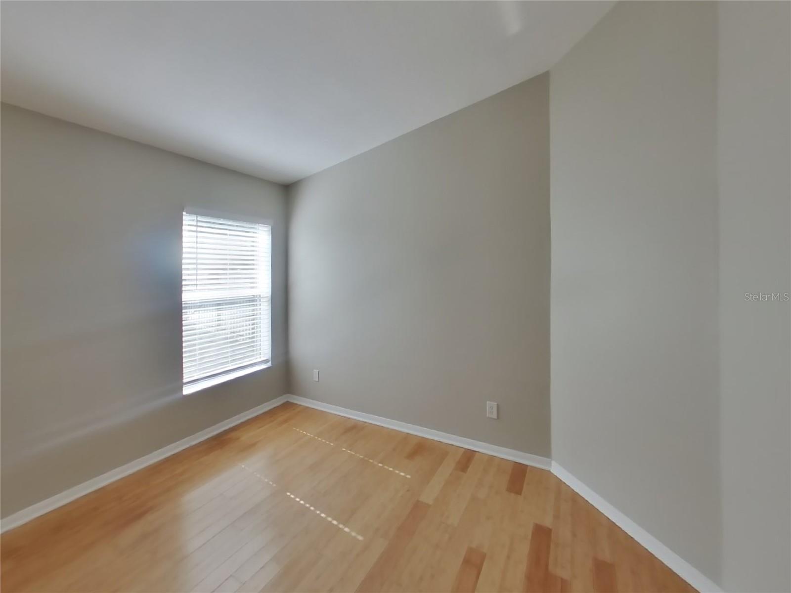 30634 WHITE BIRD AVE, WESLEY CHAPEL, FL, 33543