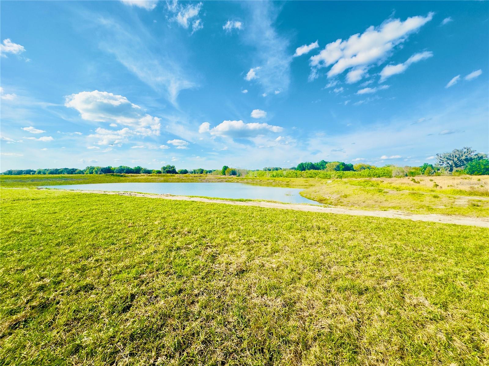 11257 LINDEN DEPOT RD, SAN ANTONIO, FL, 33576