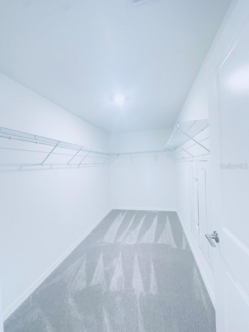 11257 LINDEN DEPOT RD, SAN ANTONIO, FL, 33576