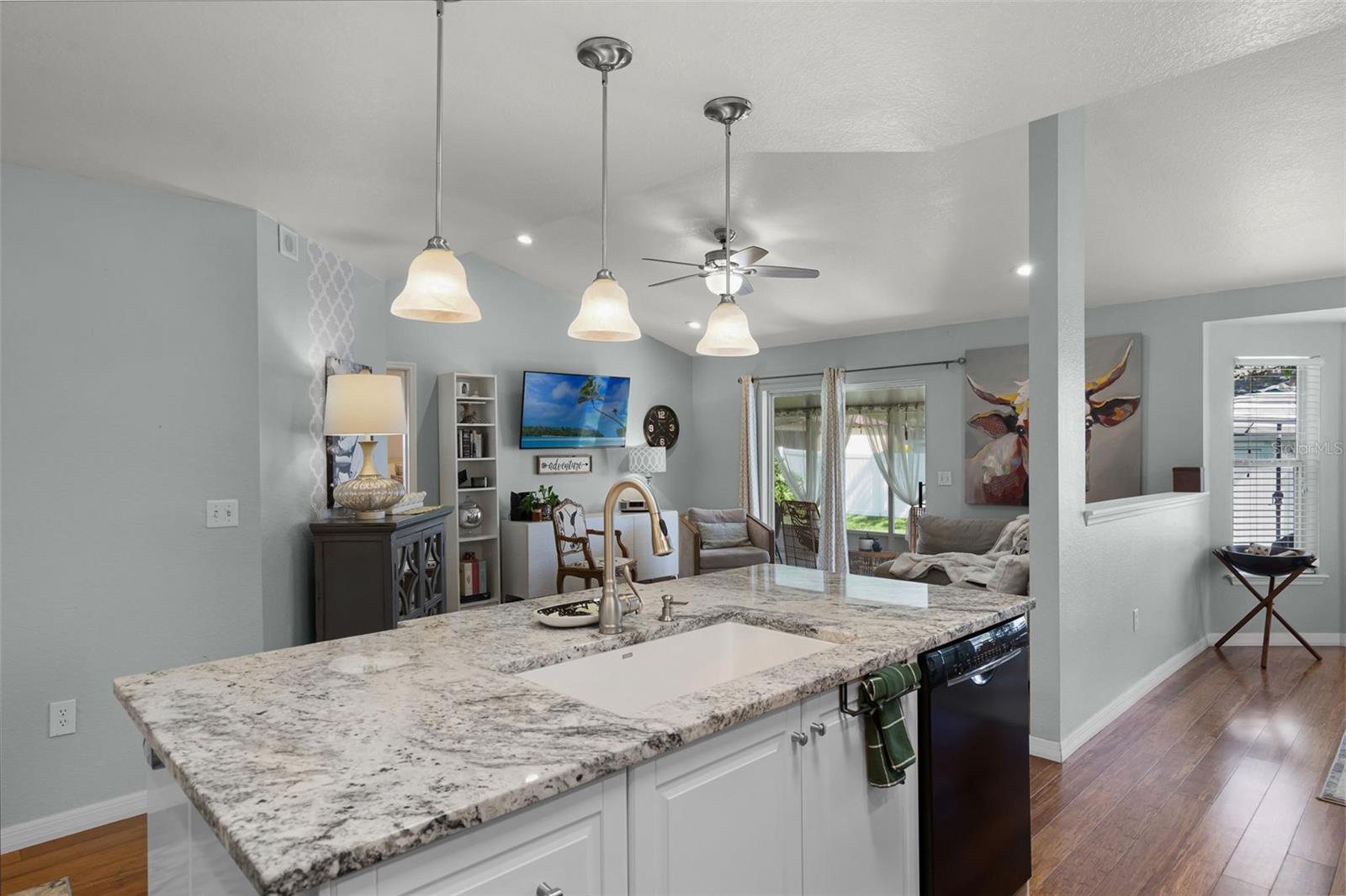 1133 BRANDY LAKE VIEW CIR, WINTER GARDEN, FL, 34787