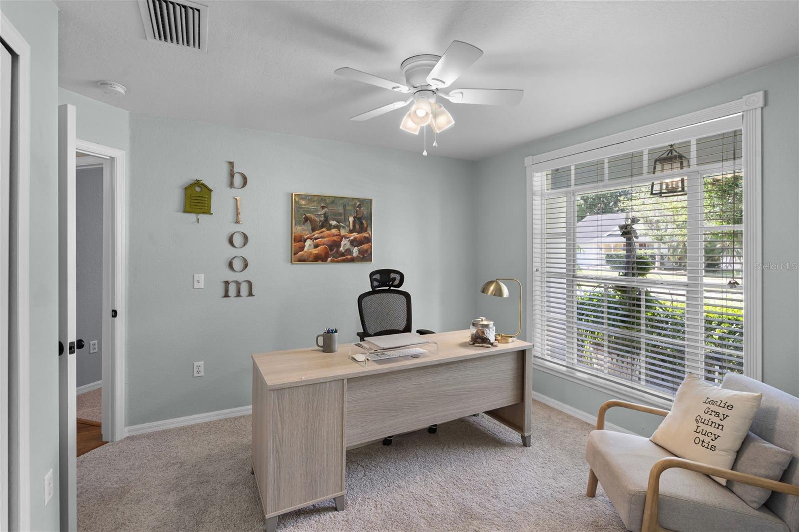 1133 BRANDY LAKE VIEW CIR, WINTER GARDEN, FL, 34787