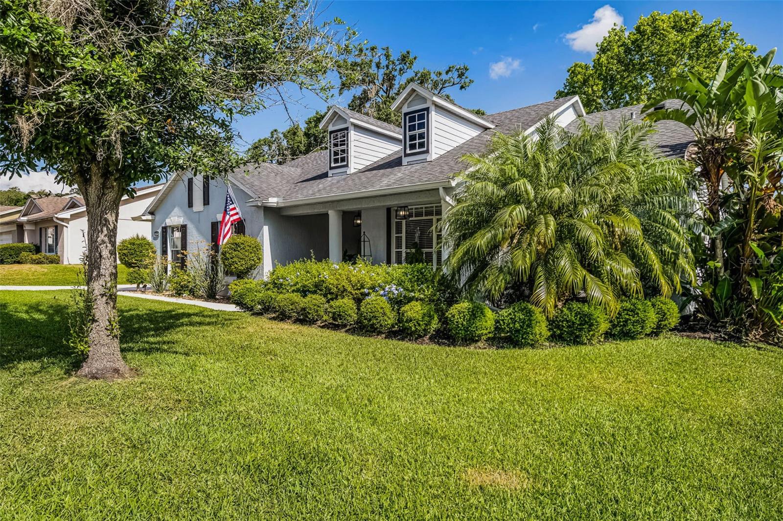 1133 BRANDY LAKE VIEW CIR, WINTER GARDEN, FL, 34787