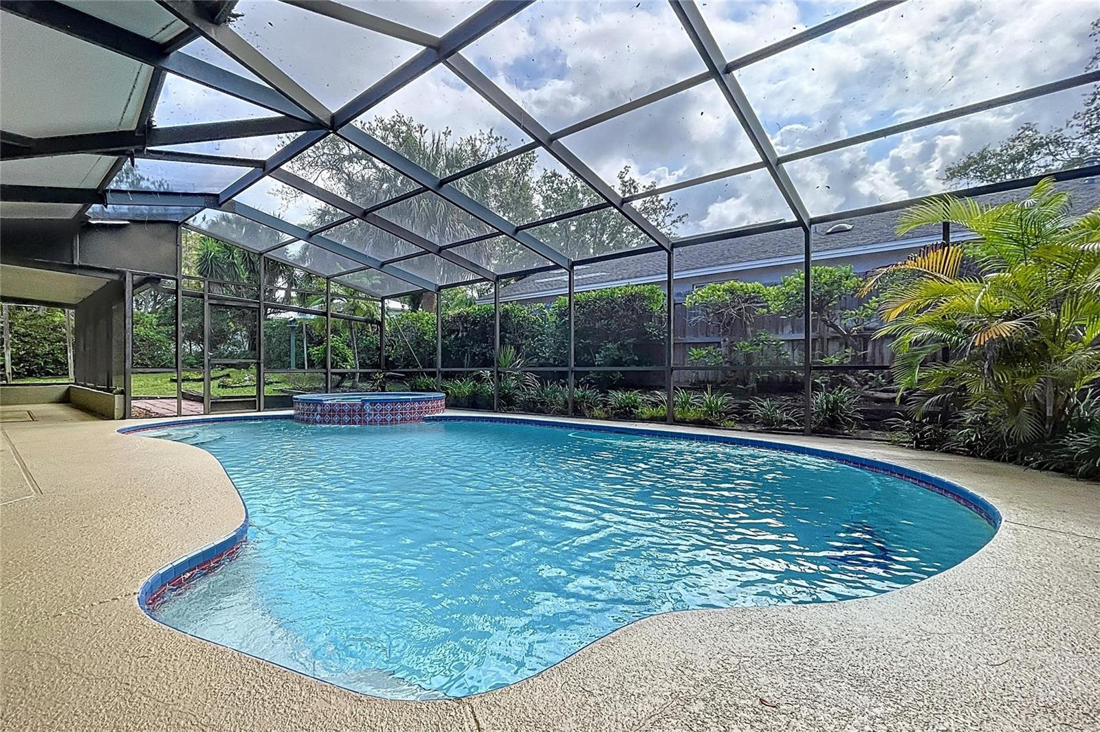 232 PINECREST DR, PALM HARBOR, FL, 34683