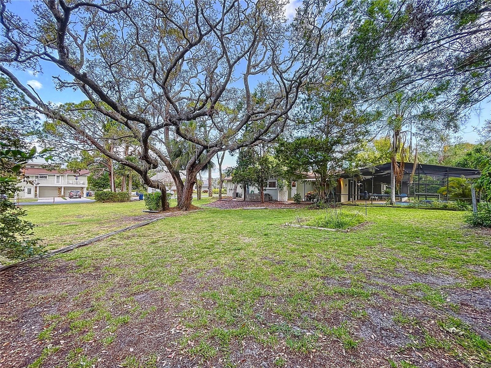 232 PINECREST DR, PALM HARBOR, FL, 34683