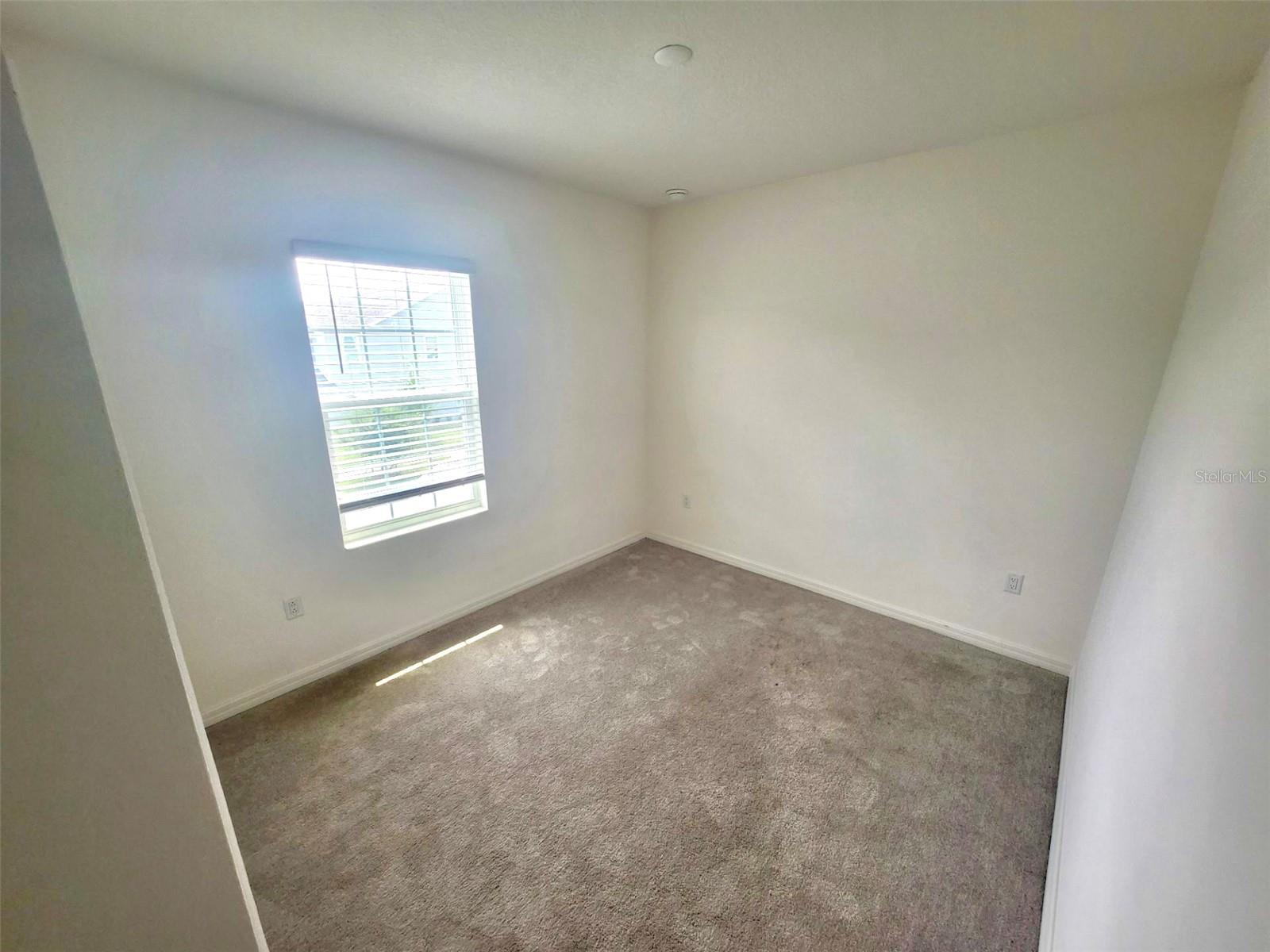 4383 PARAGLIDER PL, WESLEY CHAPEL, FL, 33545