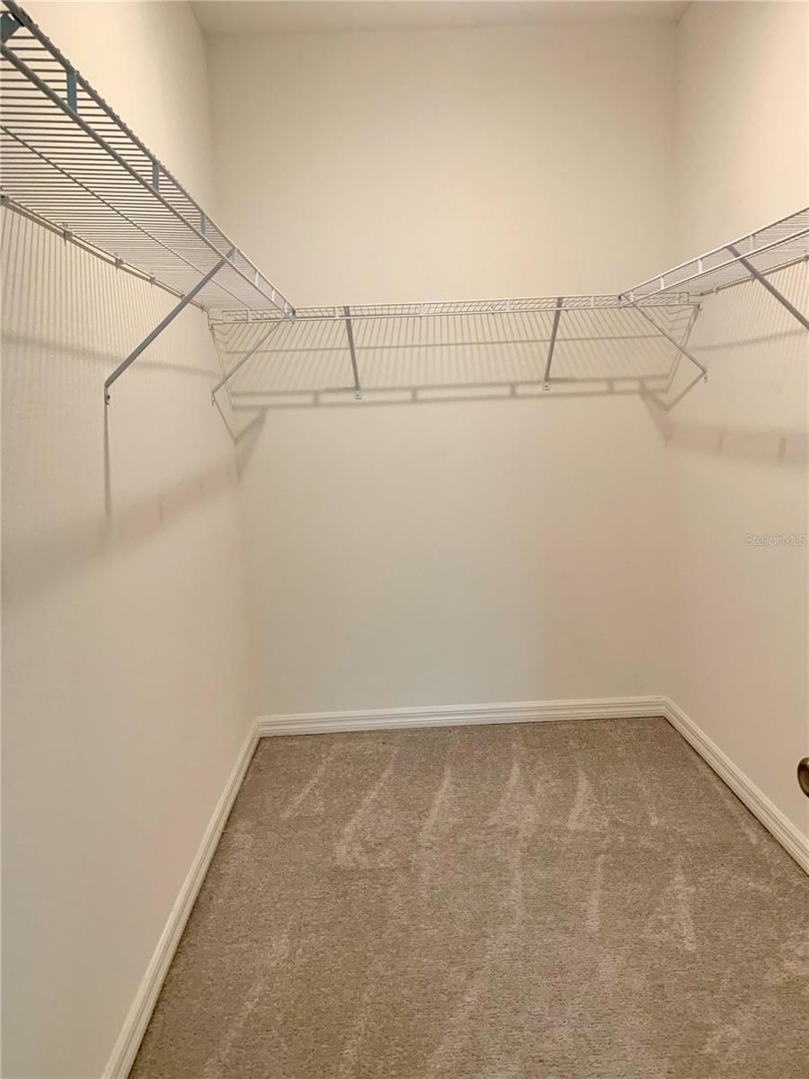 4383 PARAGLIDER PL, WESLEY CHAPEL, FL, 33545