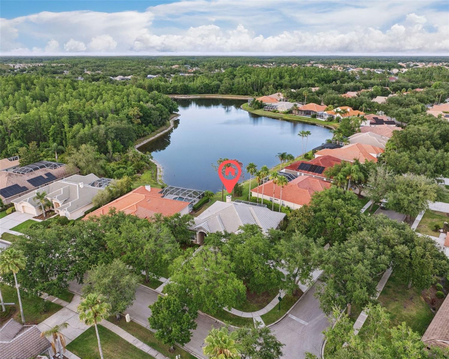 10232 ESTUARY DR, TAMPA, FL, 33647