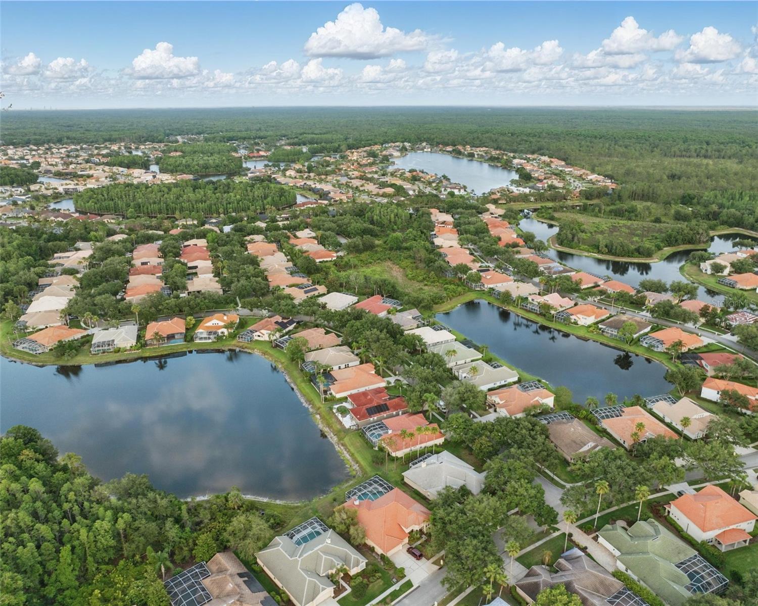 10232 ESTUARY DR, TAMPA, FL, 33647