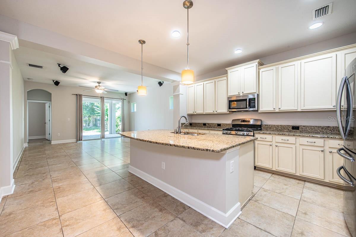 16226 BAYBERRY VIEW DR, LITHIA, FL, 33547