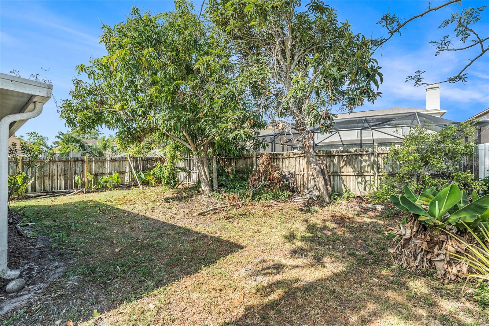 1247 OCEAN REEF RD, WESLEY CHAPEL, FL, 33544