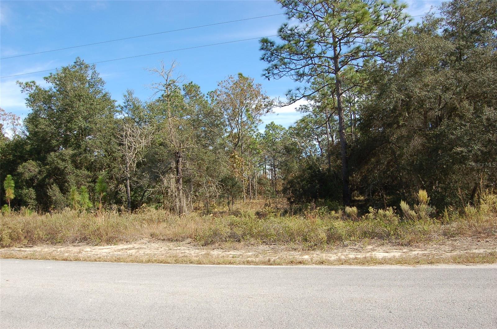 LOMBARDY LN, DUNNELLON, FL, 34431