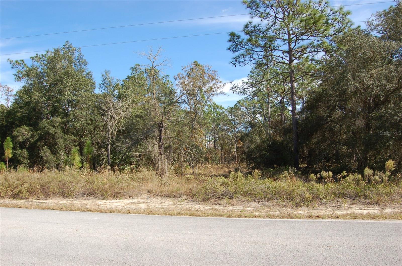 LOMBARDY LN, DUNNELLON, FL, 34431