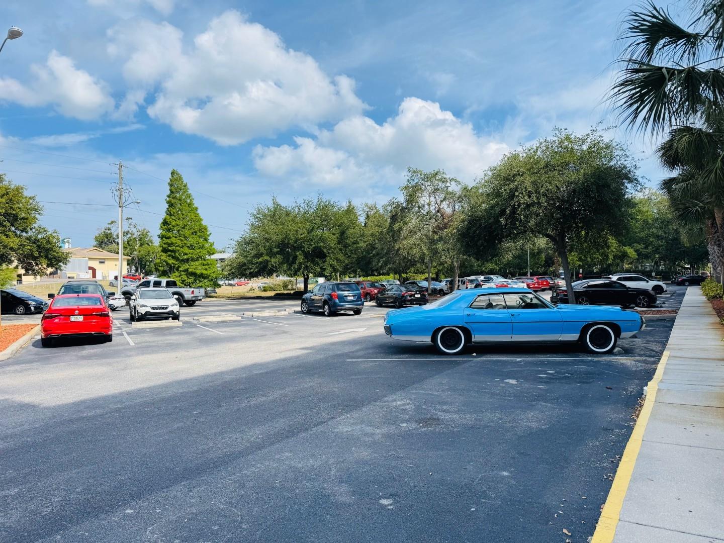 701 S MADISON AVE #414, CLEARWATER, FL, 33756