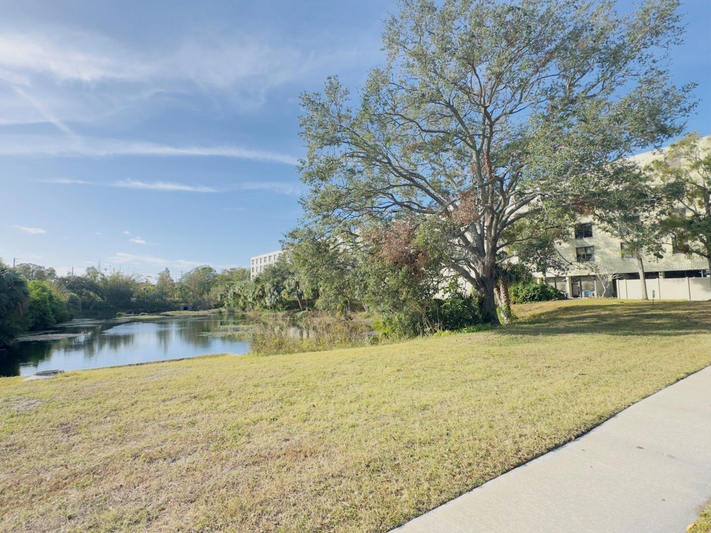 701 S MADISON AVE #414, CLEARWATER, FL, 33756