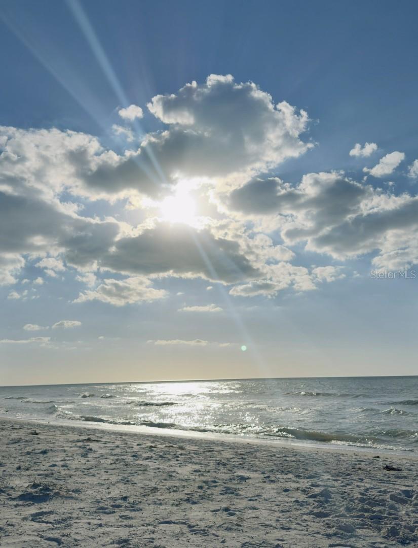 701 S MADISON AVE #414, CLEARWATER, FL, 33756