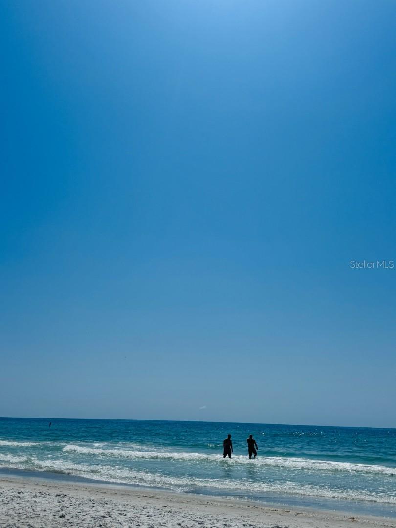 701 S MADISON AVE #414, CLEARWATER, FL, 33756