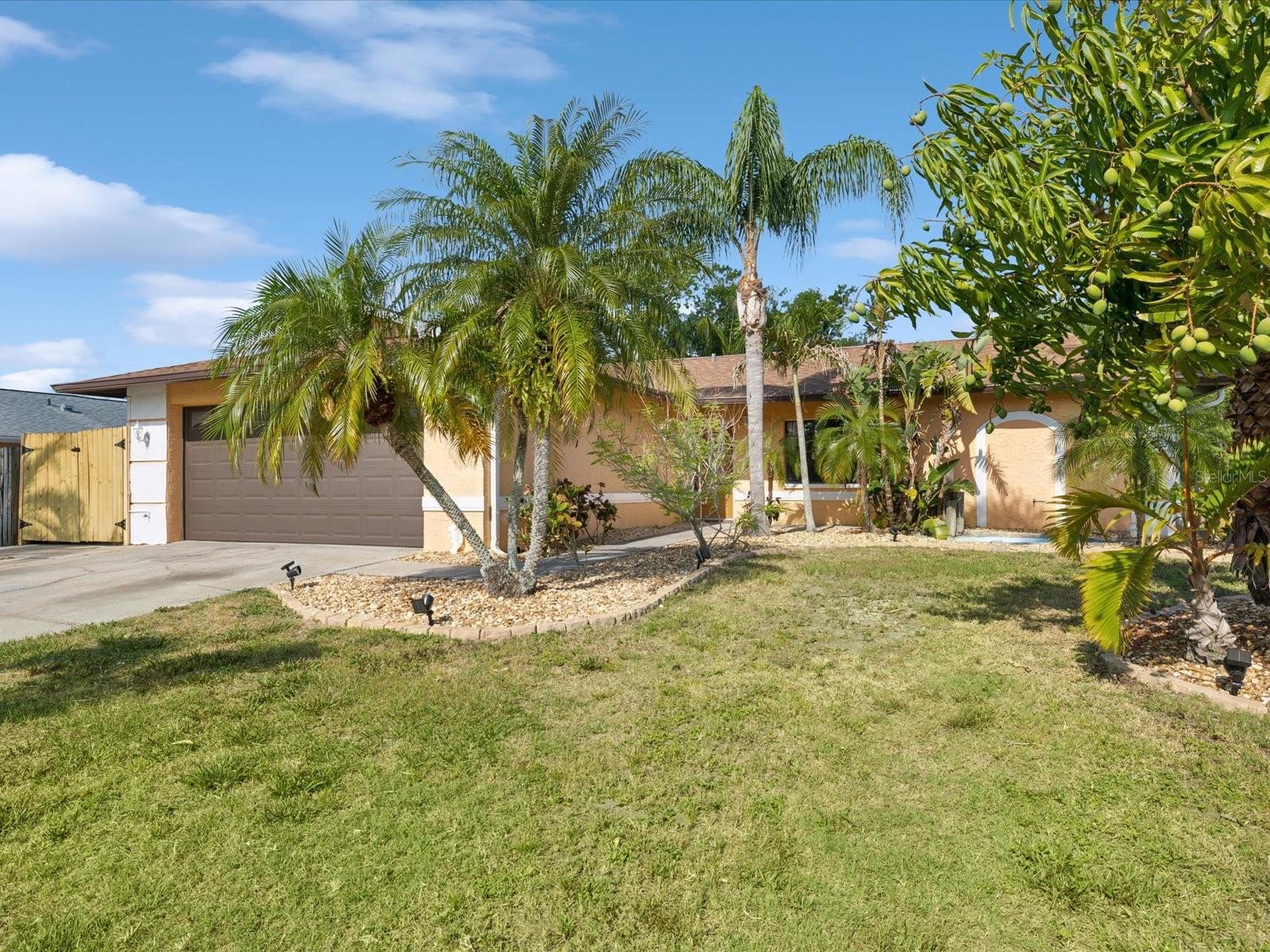 4519 SWALLOWTAIL DR, NEW PORT RICHEY, FL, 34653