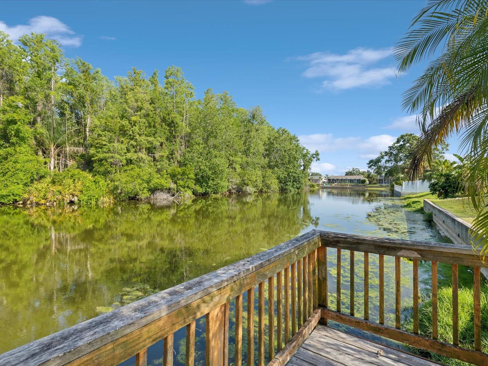 4519 SWALLOWTAIL DR, NEW PORT RICHEY, FL, 34653