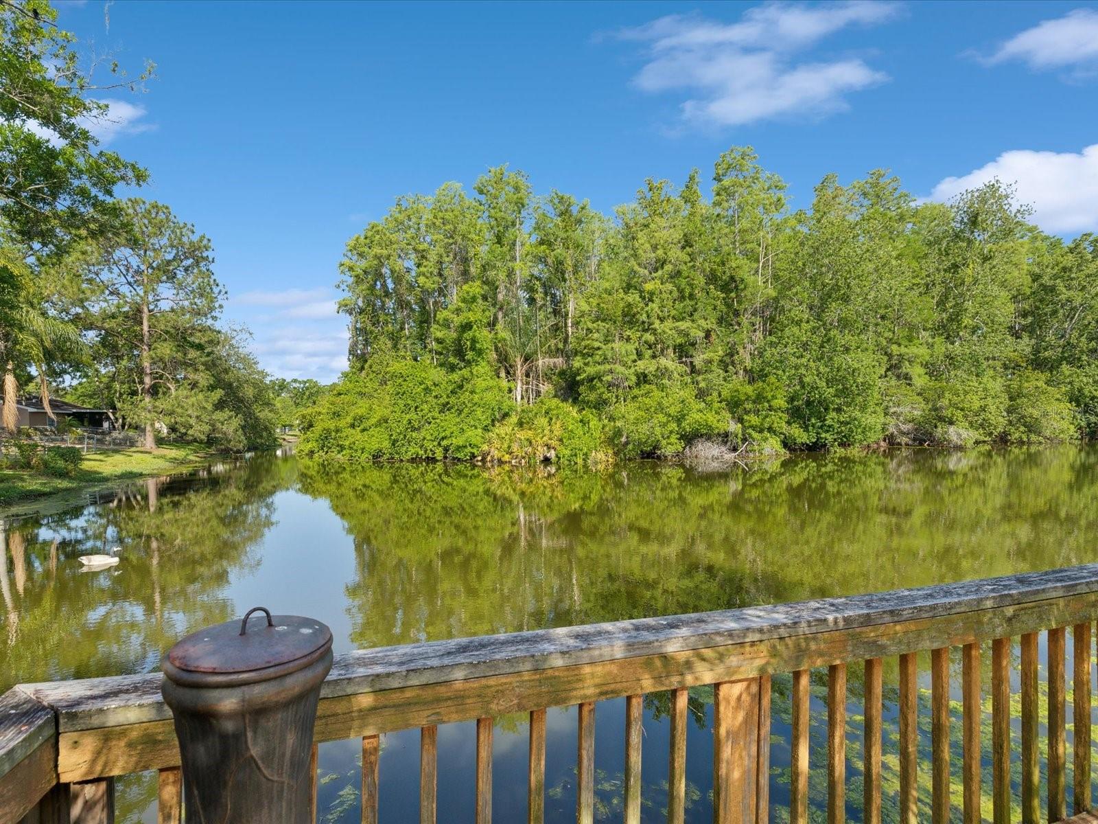 4519 SWALLOWTAIL DR, NEW PORT RICHEY, FL, 34653