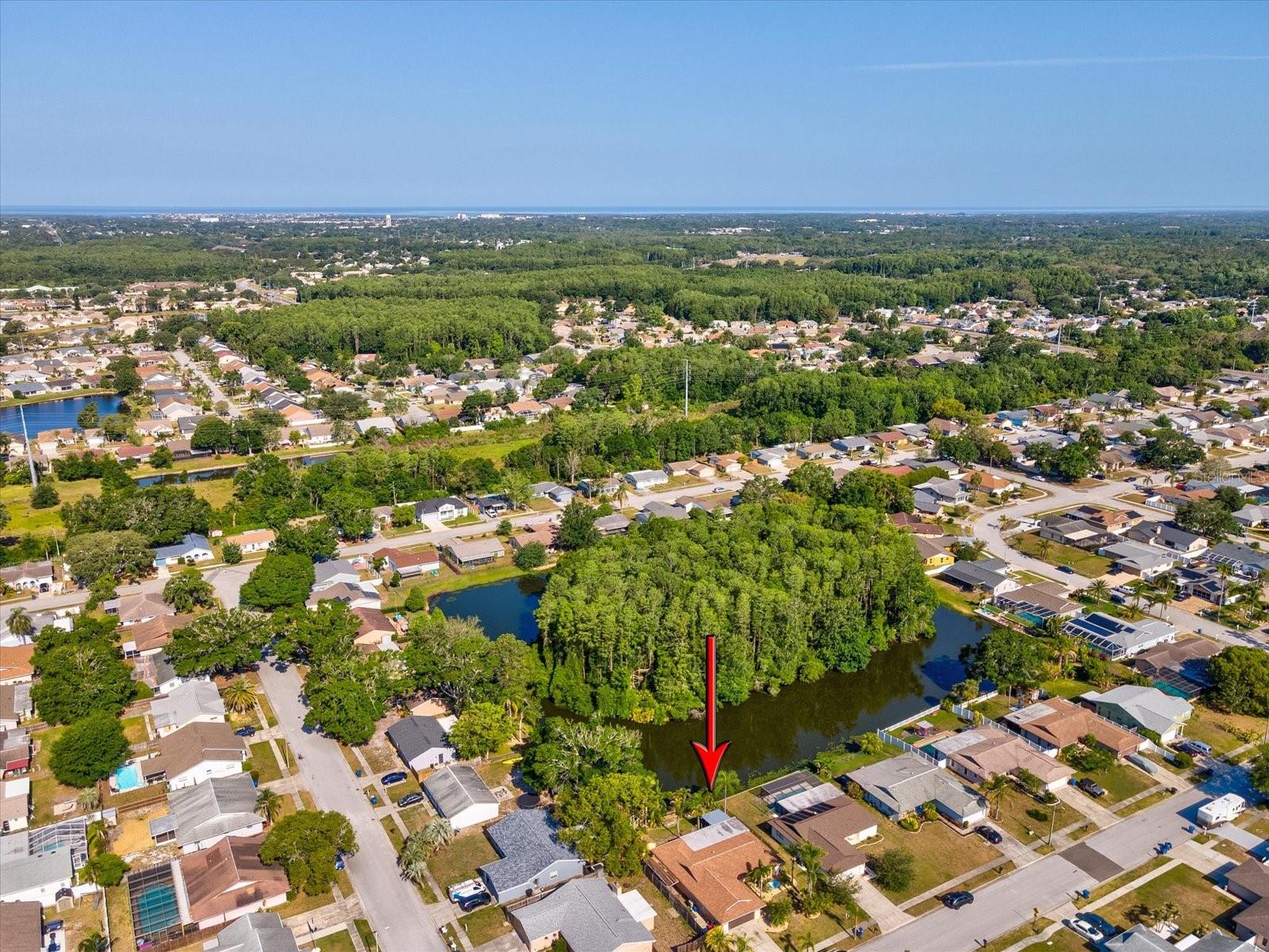 4519 SWALLOWTAIL DR, NEW PORT RICHEY, FL, 34653